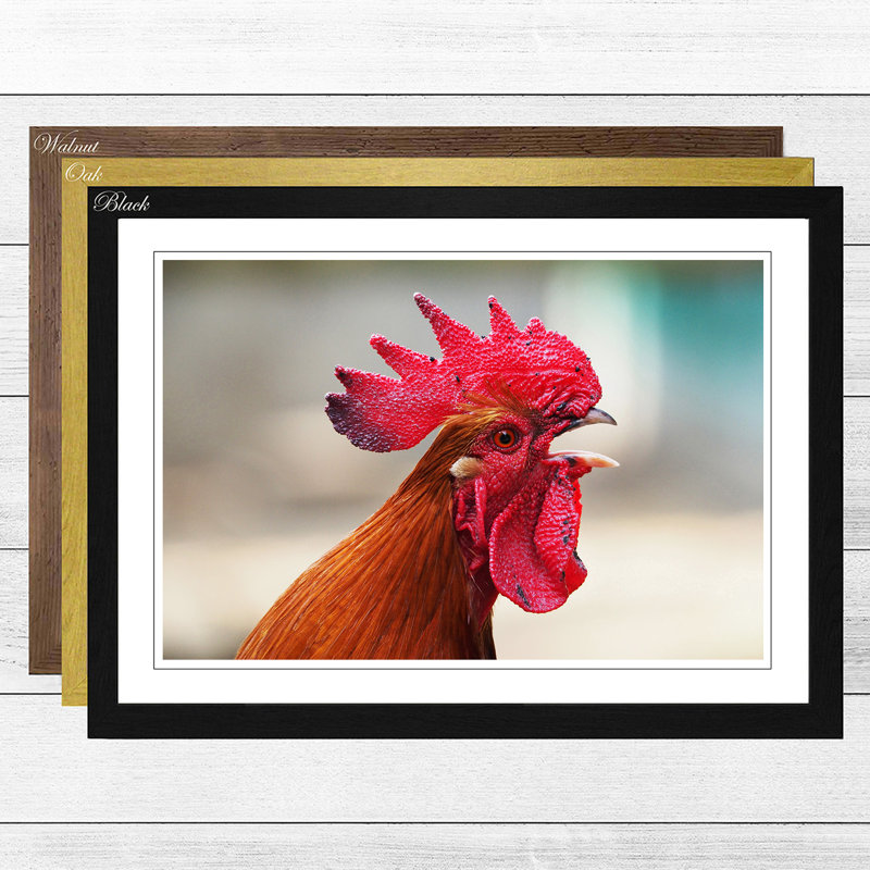 Big Box Art 'Hen Chicken 2' Framed Photographic Print Wayfair.co.uk